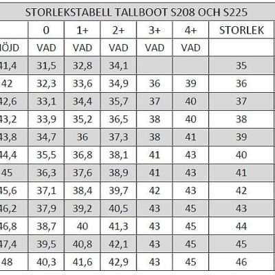 Läderridstövel