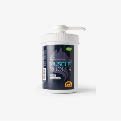 Muscle cooler 1L