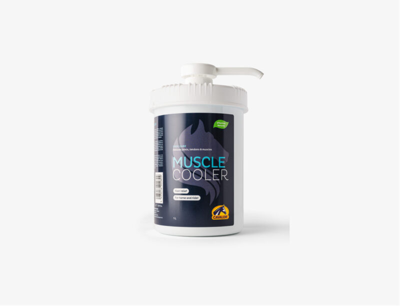 Muscle cooler 1L