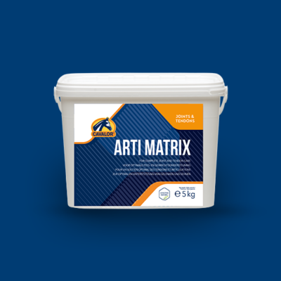 Arti Matrix