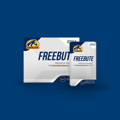 Freebute pulver 20x10g