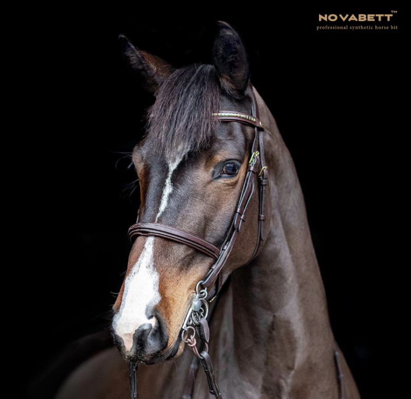 Novabett baby pelham - Bild 2