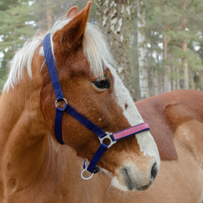 Nylongrimma blå/rosa